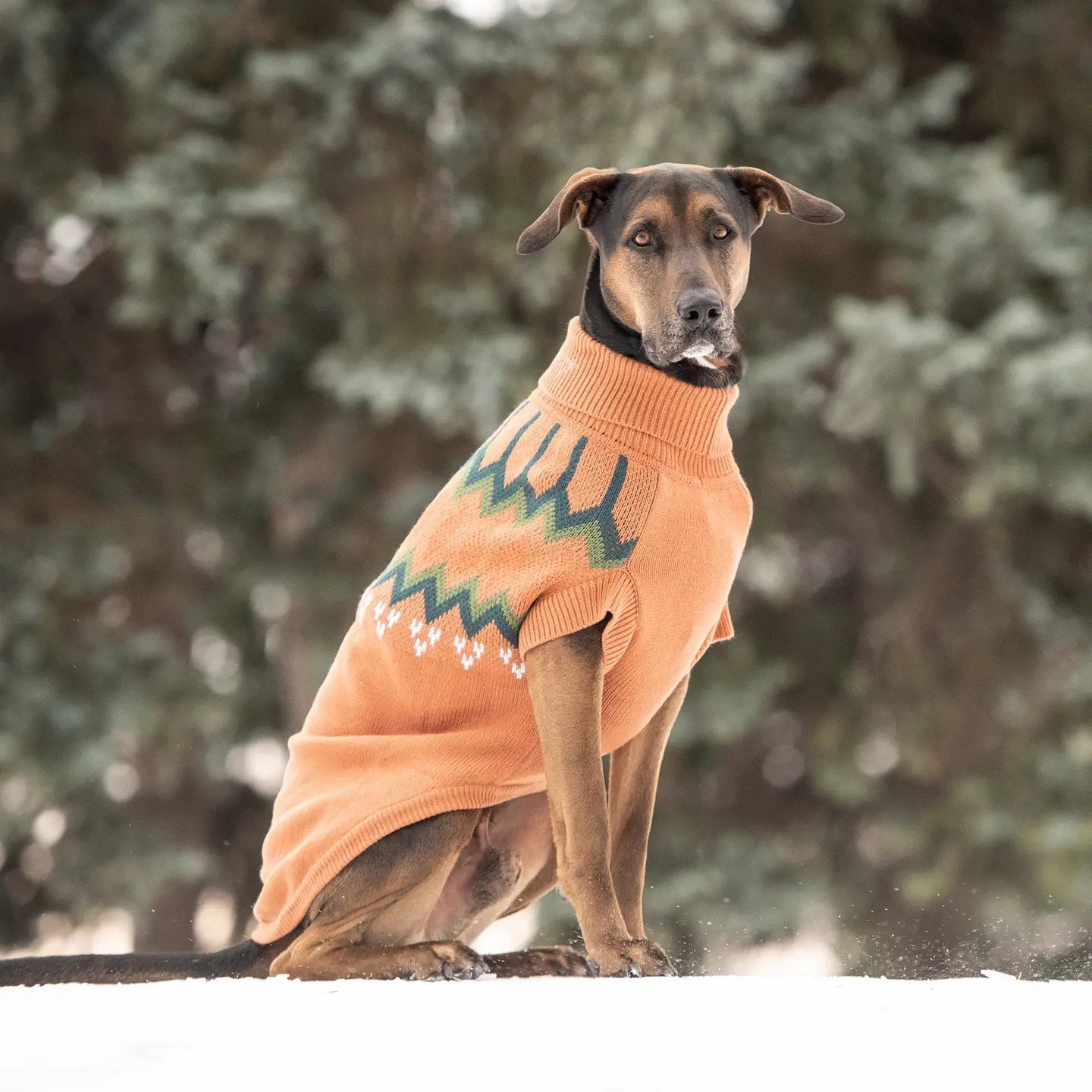 Heritage Sweater