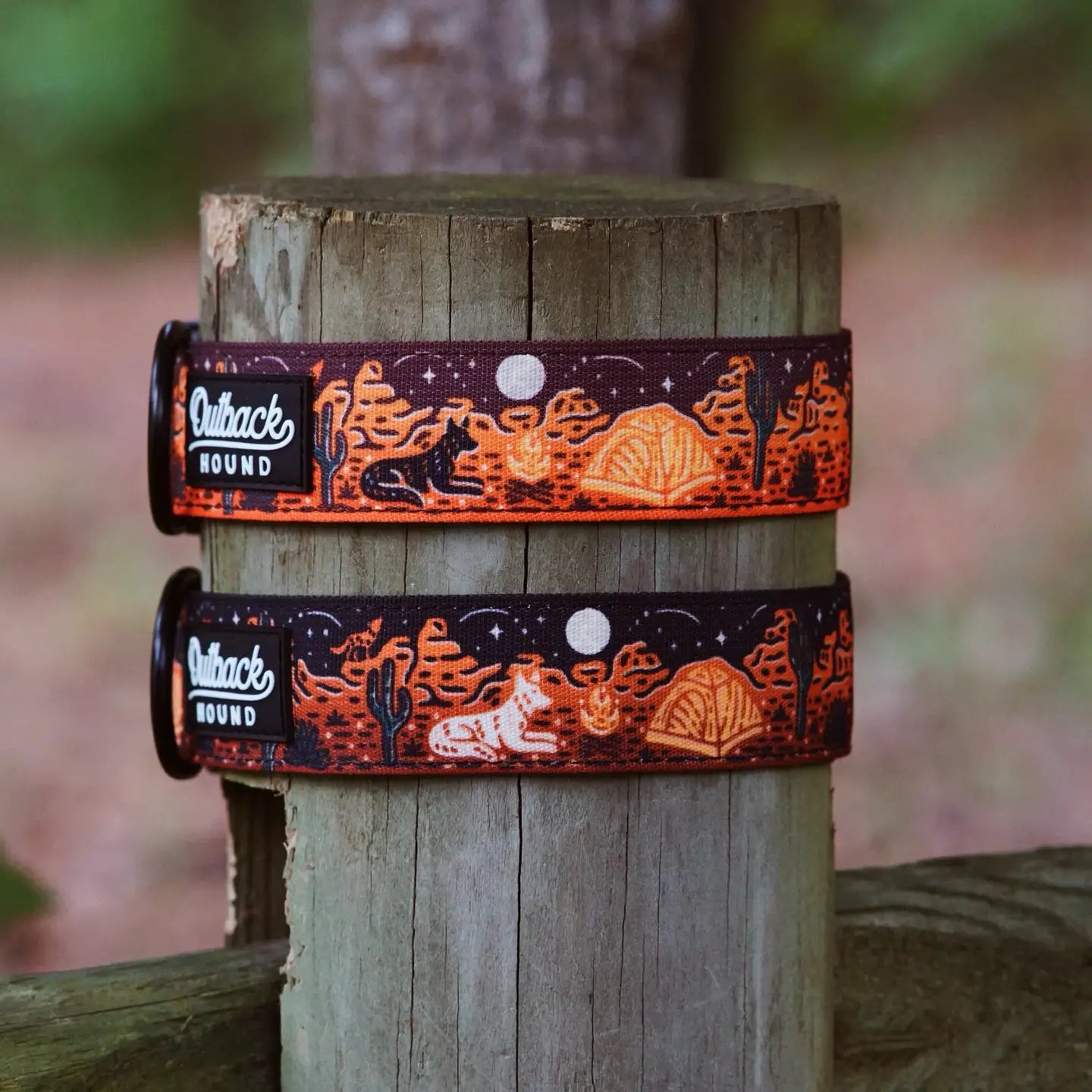 Outback Hound Desert Camp Out Dog Collar