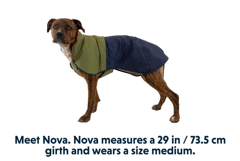 Sun Shower Dog Raincoat Mineral Yellow