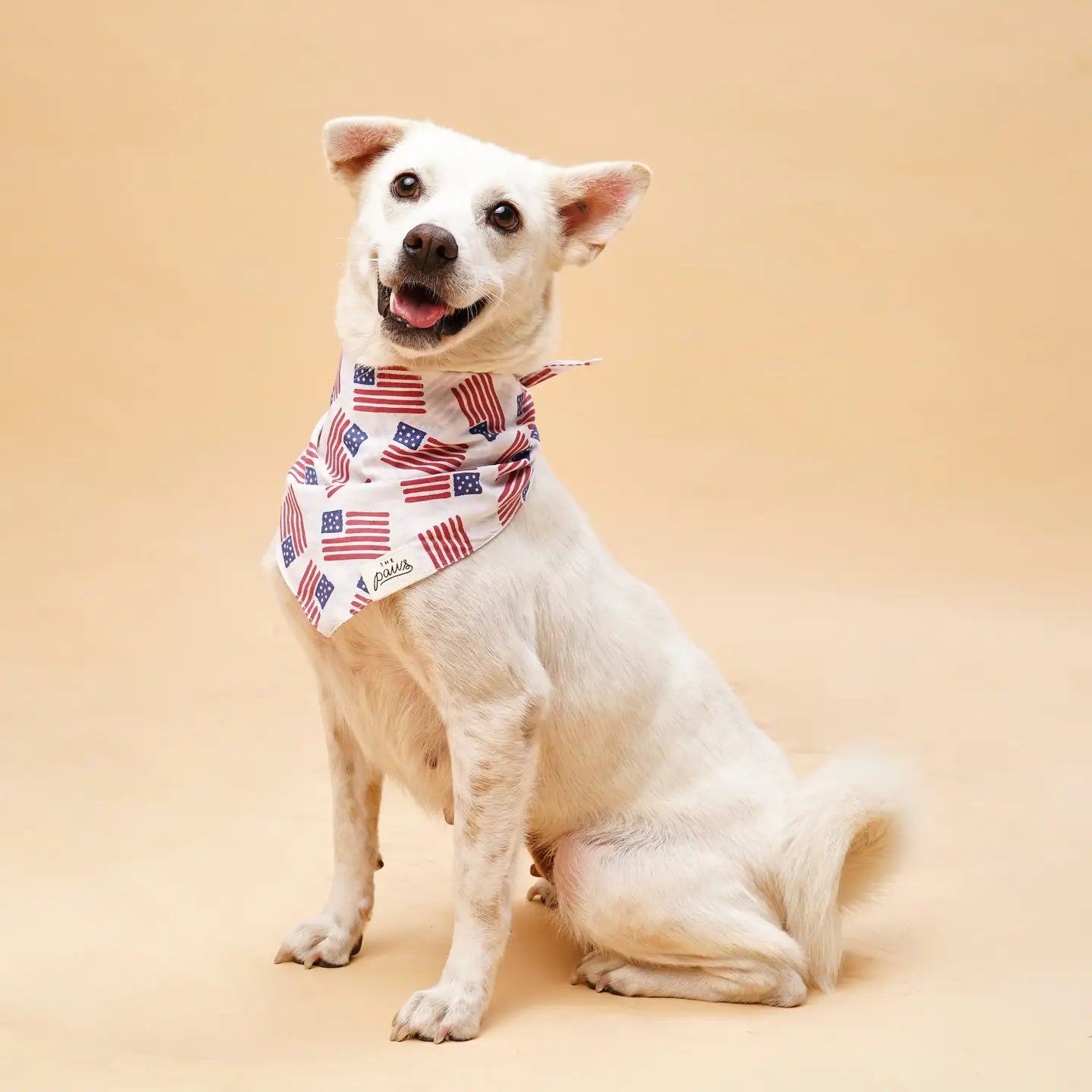 Patriotic Flag Bandana