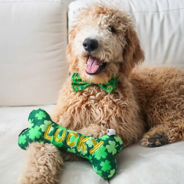 Lucky Charm Plush Bone Toy | Huxley & Kent