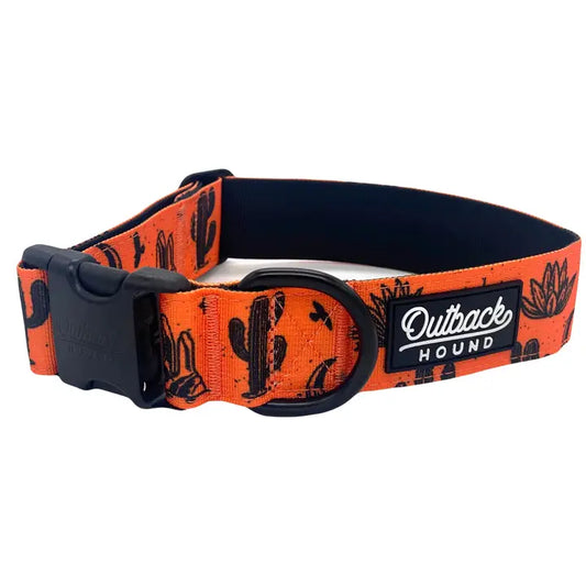 Outback Hound Orange Agave Trail Collar