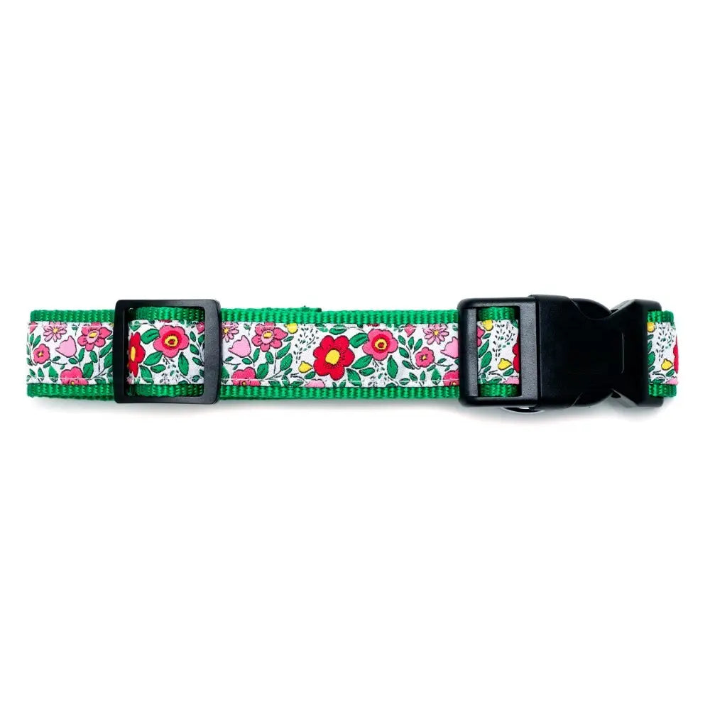 Spring Garden Collar | The Worthy Dog