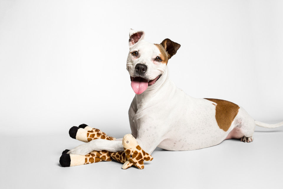 Nelly Giraffe Plush Toy