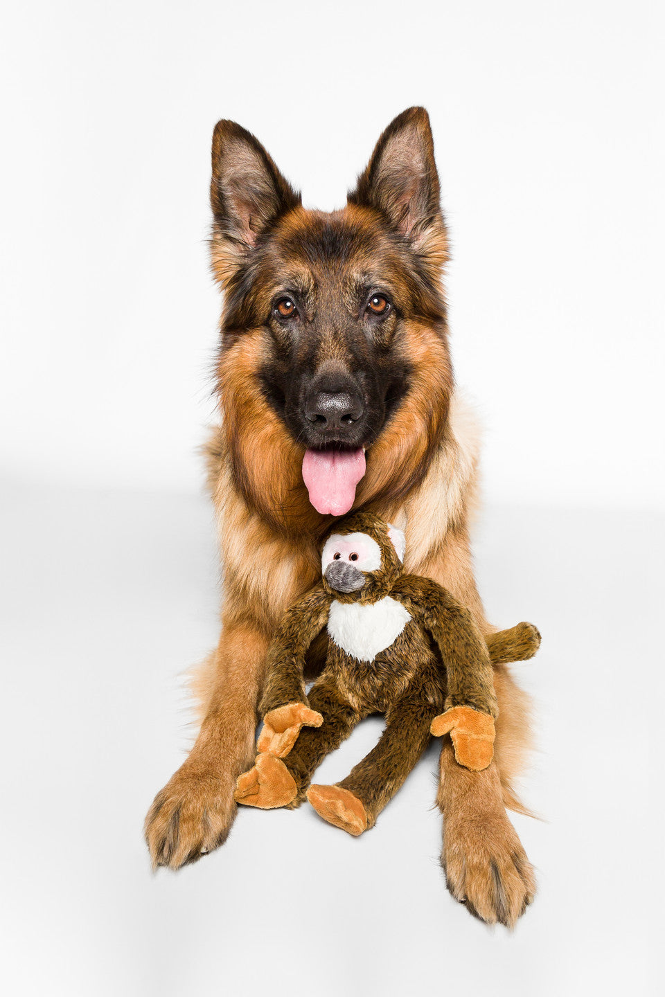 Albert Monkey | Fluff & Tuff