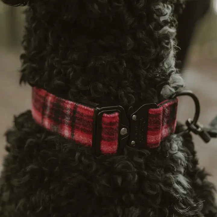 Outback Hound Red Flannel Premium Dog Collar