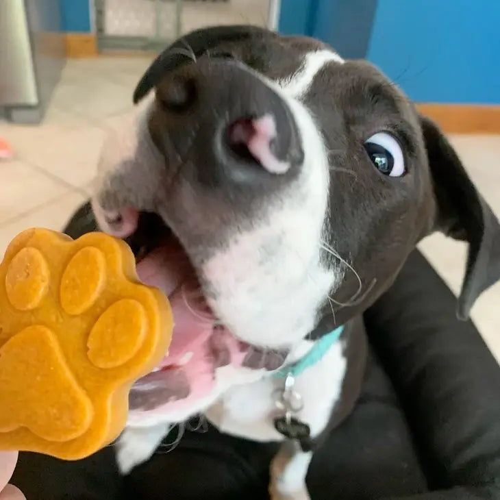 Cooper's Treats Pupsicle Mix