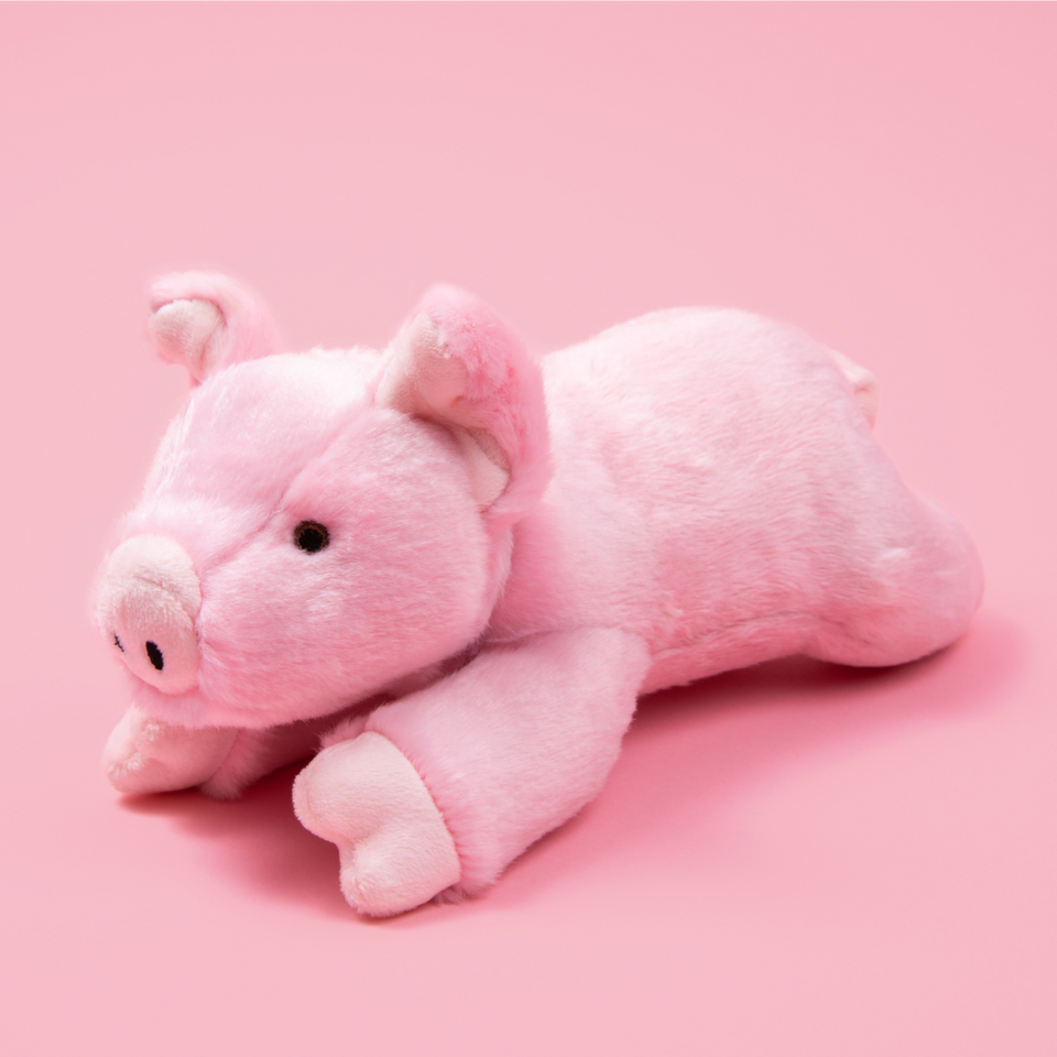 Petey Pig Plush Toy