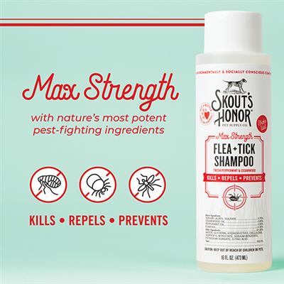 Flea & Tick Dog Shampoo