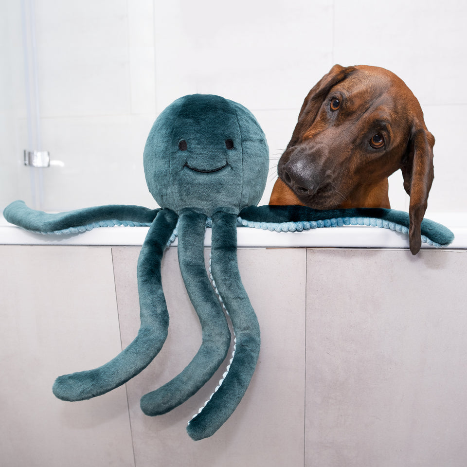 Stevie Octopus | Fluff & Tuff