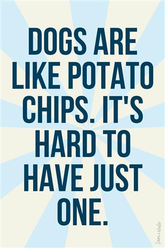 "DOGS ARE LIKE POTATO CHIPS" Sticker