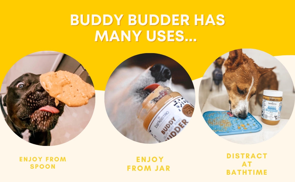 Buddy Budder Barkin' Banana Peanut Butter for Dogs