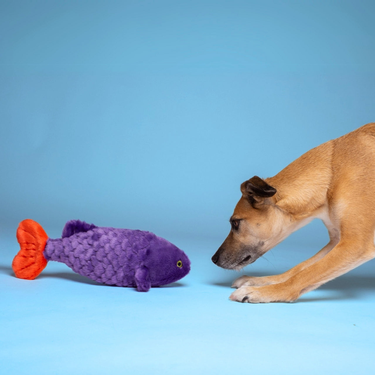 Cici Tropical Fish Plush Toy