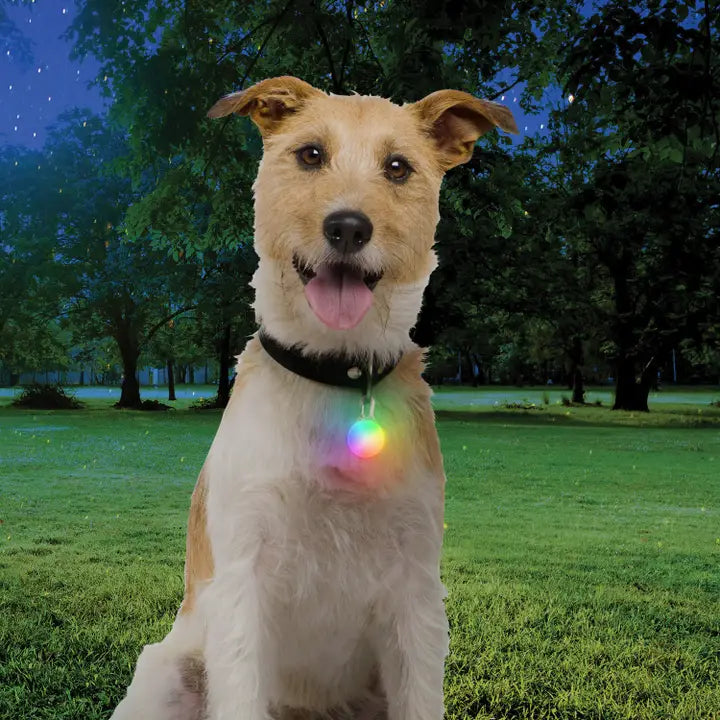 Nite Ize Spotlit Rechargeable LED Collar Light