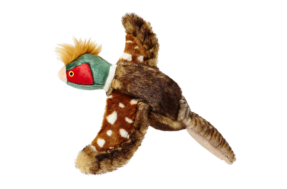 Ike Pheasant | Fluff & Tuff