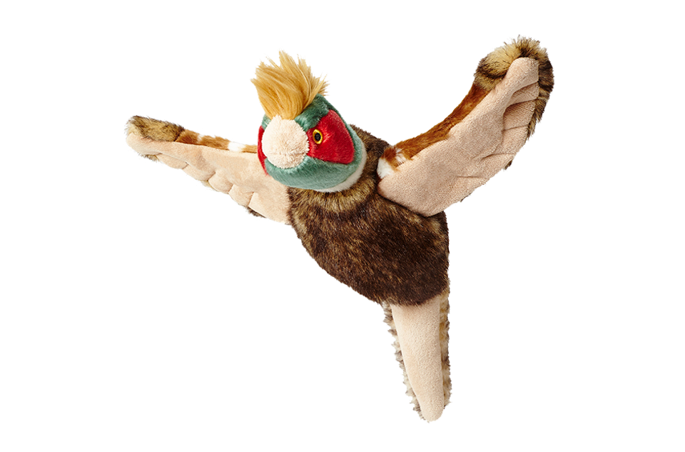 Ike Pheasant | Fluff & Tuff