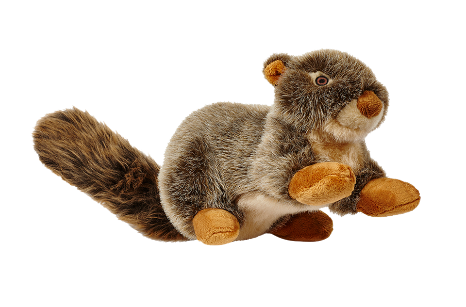 Nuts Squirrel | Fluff & Tuff