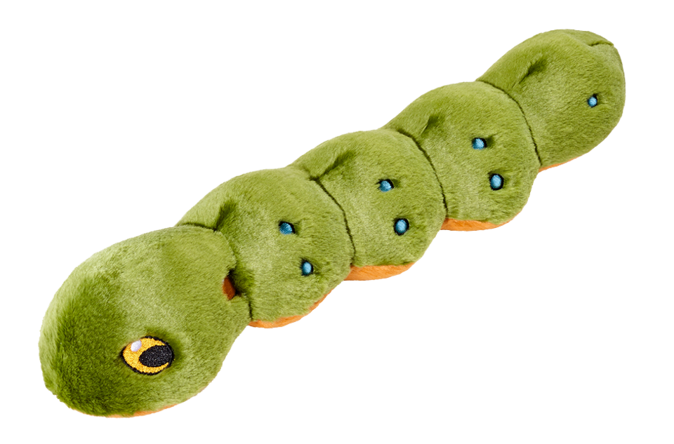 Katie Caterpillar | Fluff & Tuff