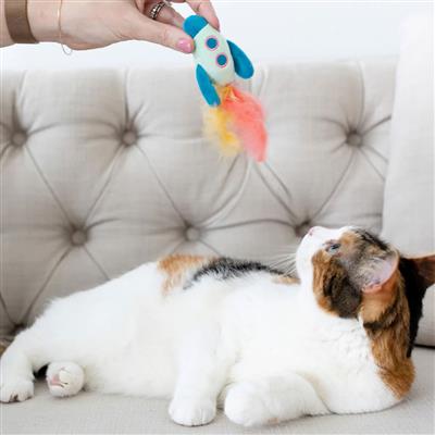 Pearhead Outer Space Cat Toys Set