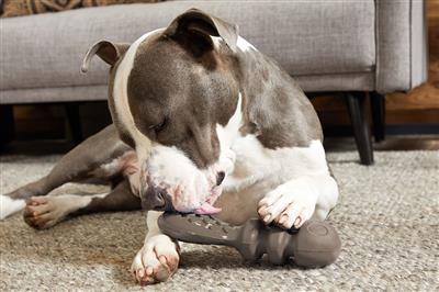 BARK Buck Wild Super Chewer Toy