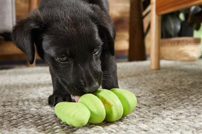 Drop the Bass Super Chewer Toy | BARK
