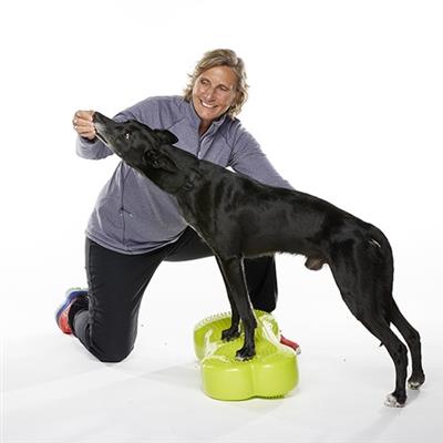 Regular K9 FitBone™ - Original Dog Balance Training Platform