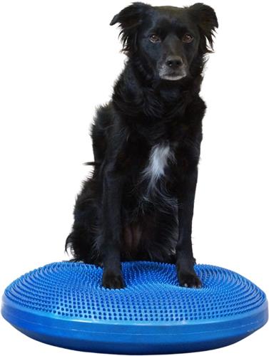 FitPaws Balance Discs
