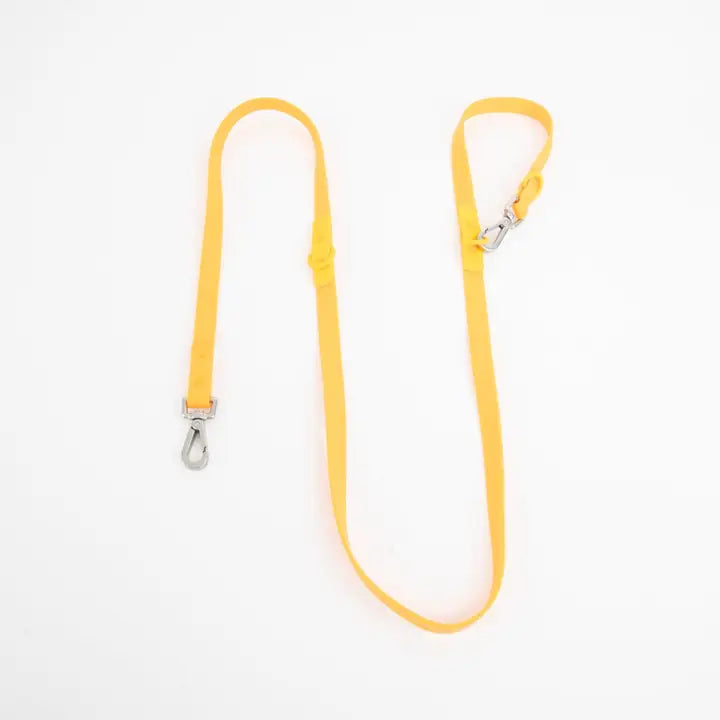The Fritz Leash | Mango