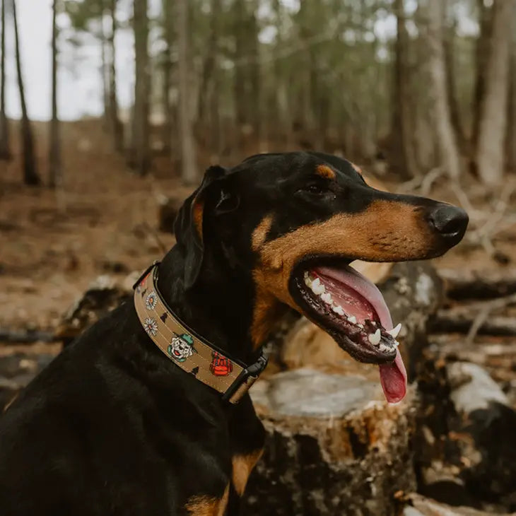 Outback Hound National Barks Trail Collar