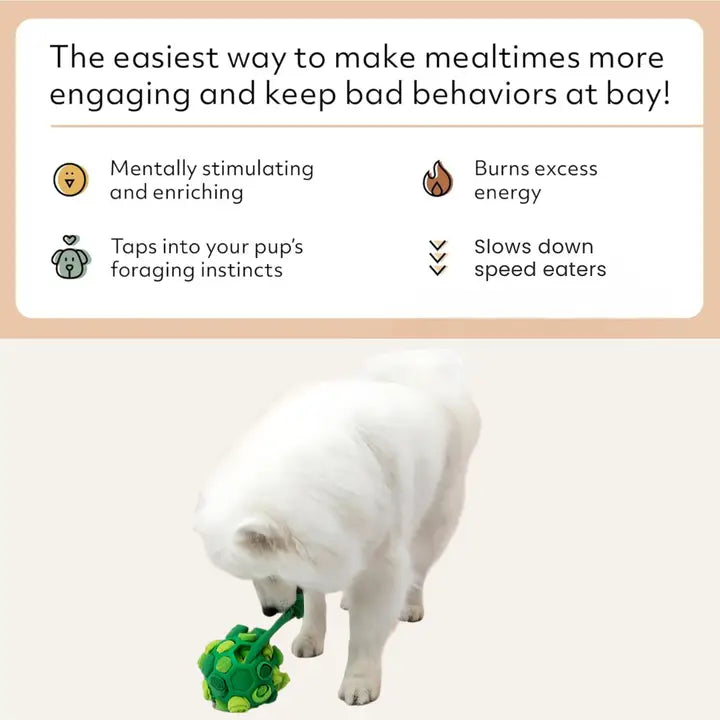 Interactive Dog Forager Ball | Reggie