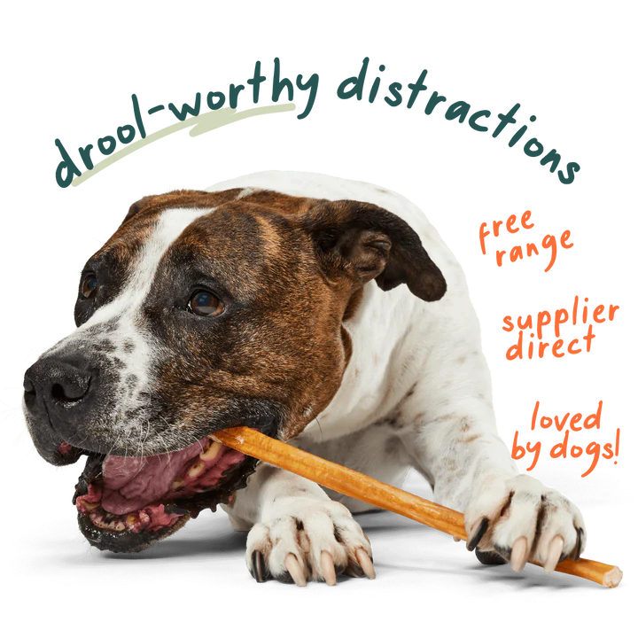 Bullysafe Chews- Free Range Bully Sticks | Woof
