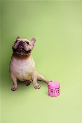 Natural Dog Company Urinary & Bladder Soft Chew Supplement