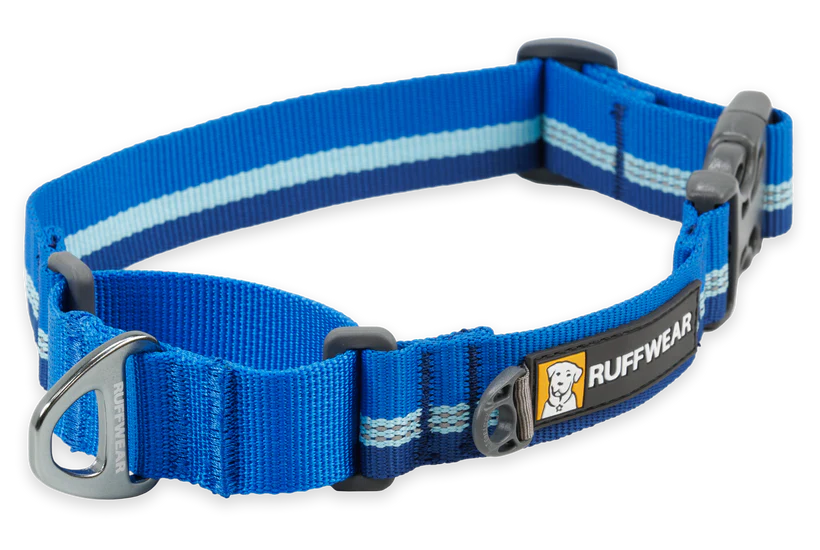 Web Reaction Martingale Dog Collar Blue Pool