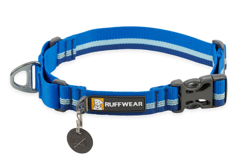 Web Reaction Martingale Dog Collar Blue Pool