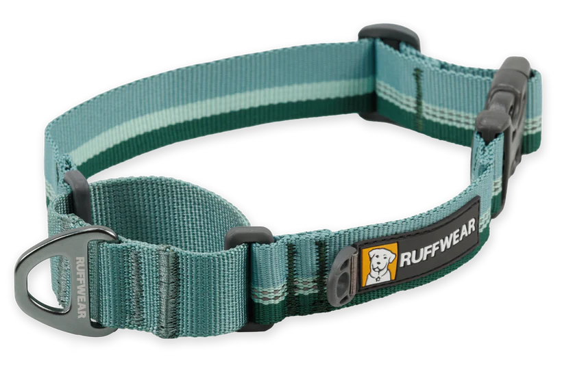 Web Reaction Martingale Dog Collar River Rock Green