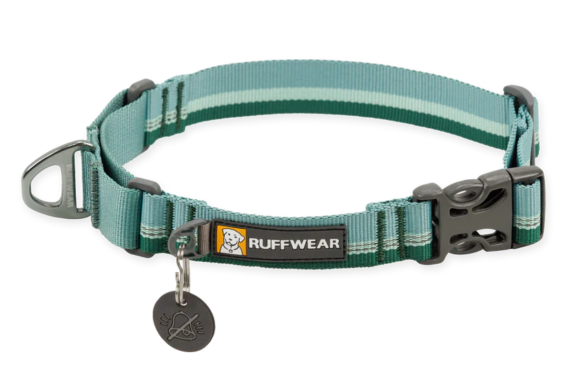 Web Reaction Martingale Dog Collar River Rock Green