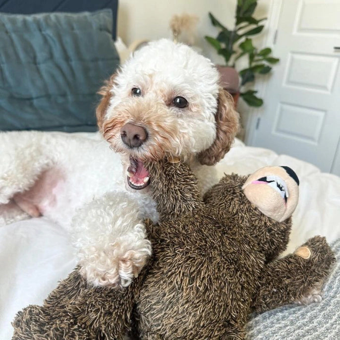 Grizzly Bear Rope Body Dog Toy | Tall Tails