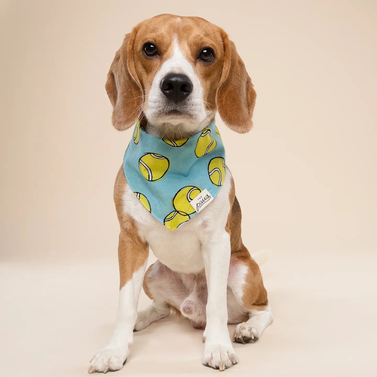 Fetch Bandana