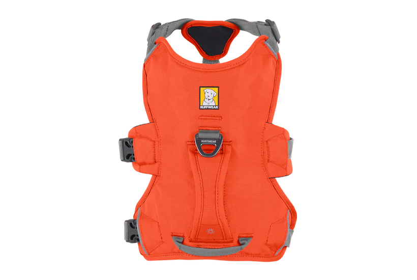 Webmaster Harness Blaze Orange | Ruffwear