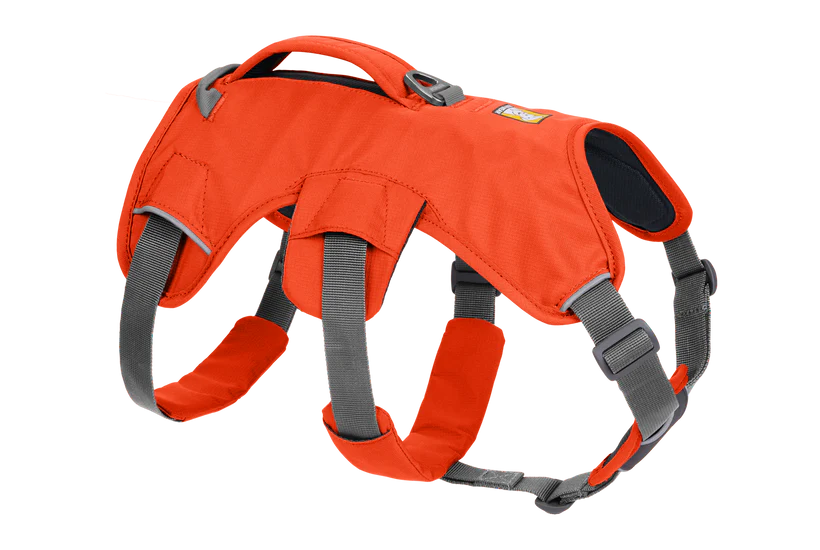 Webmaster Harness Blaze Orange | Ruffwear