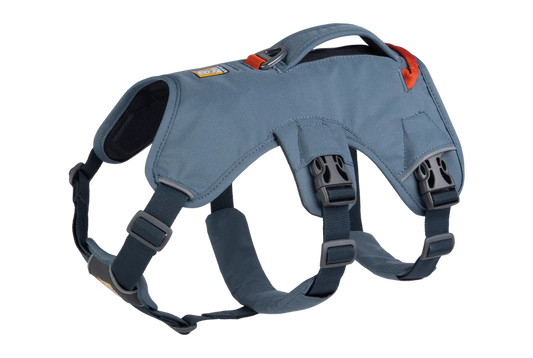 Webmaster Harness Slate Blue