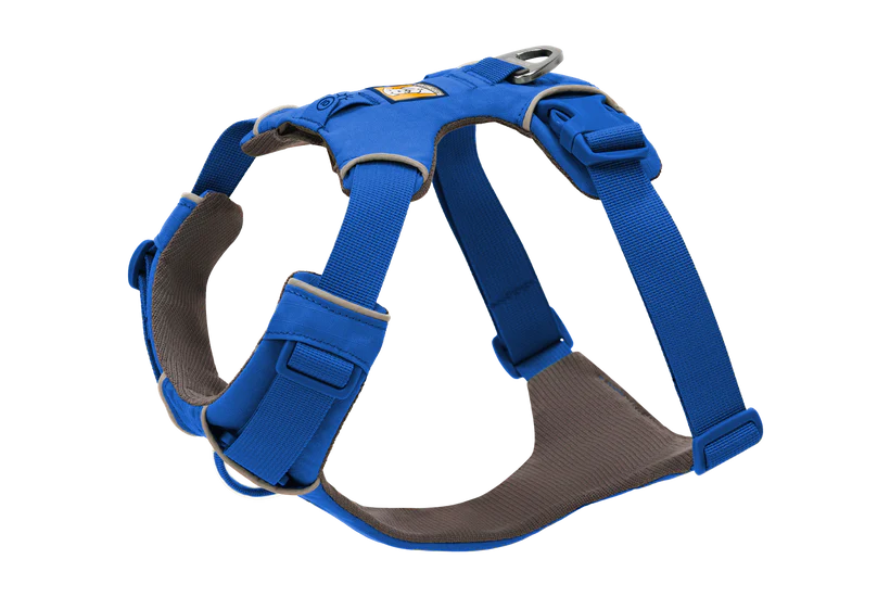 Front Range Harness Blue Pool