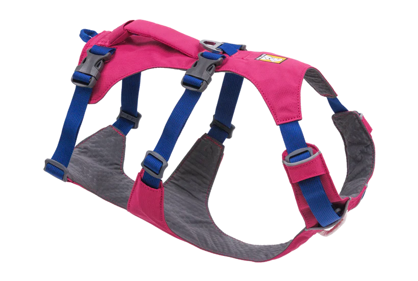 Apenglow Pink Flagline Dog Harness | Ruffwear