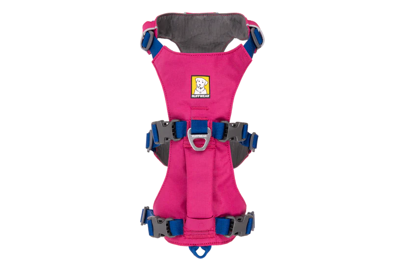 Apenglow Pink Flagline Dog Harness | Ruffwear