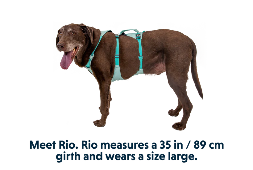 Sage Green Flagline Dog Harness | Ruffwear