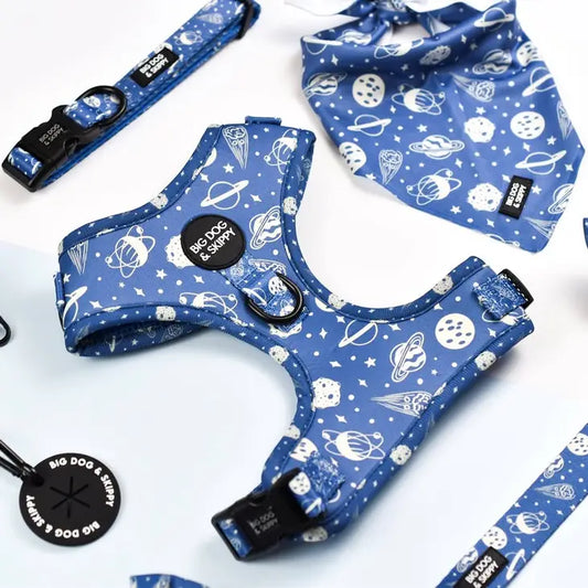 I Need Space Harness by Big Dog & Skippy