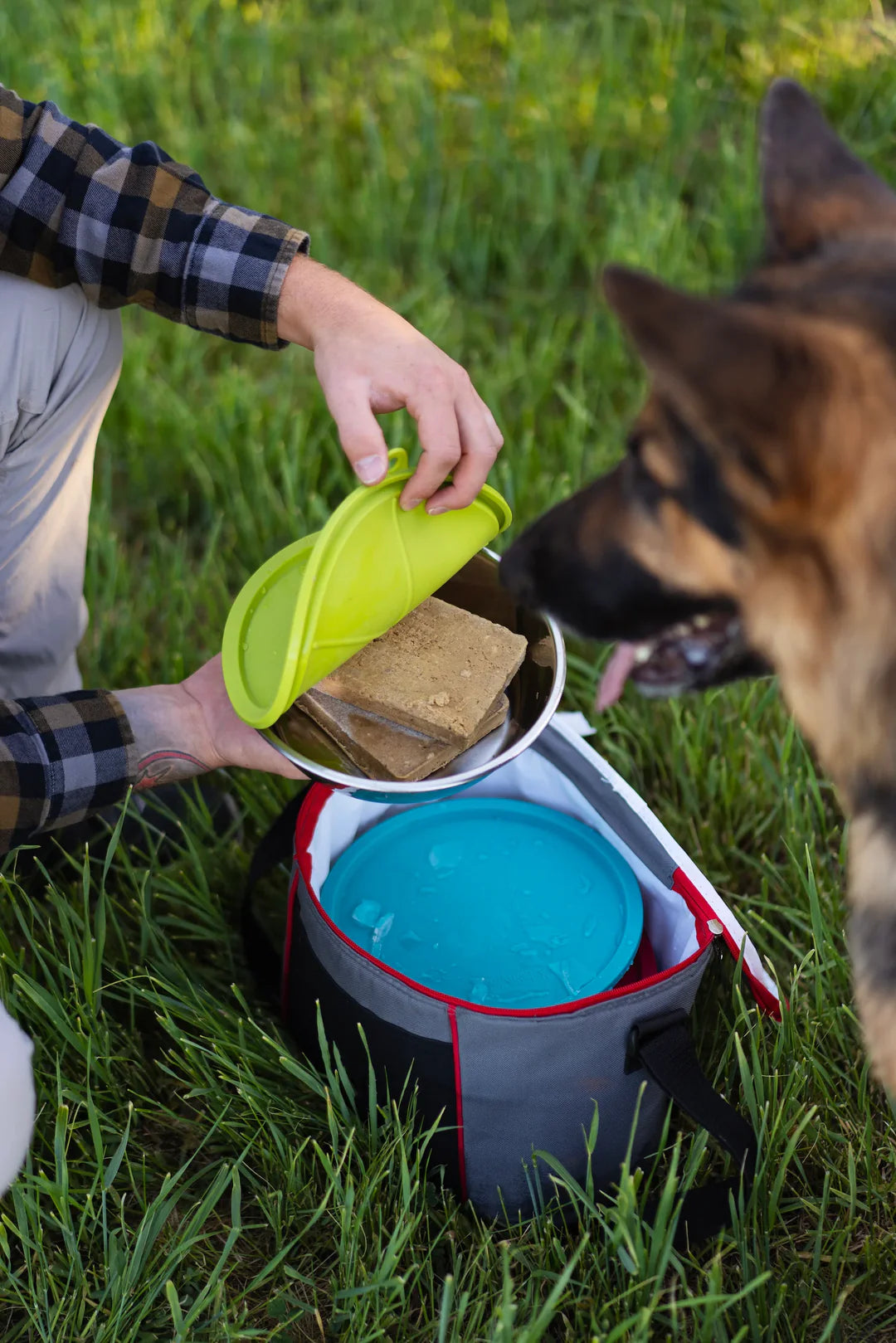 Stainless Steel Dog Bowl & Lid Set | Messy Mutts