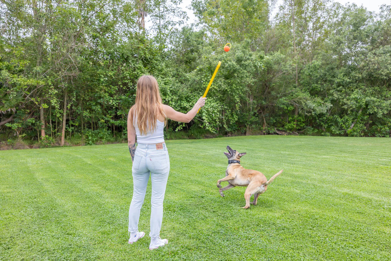 Project Hive Zoomer Dog Toy Launcher