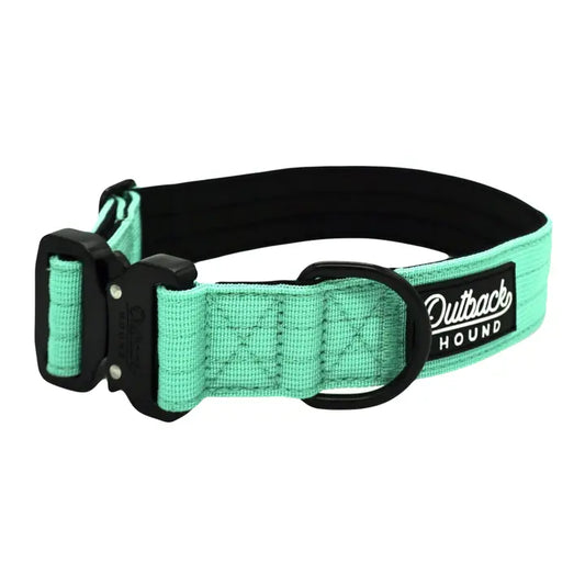 Outback Hound Mint Green Premium Dog Collar
