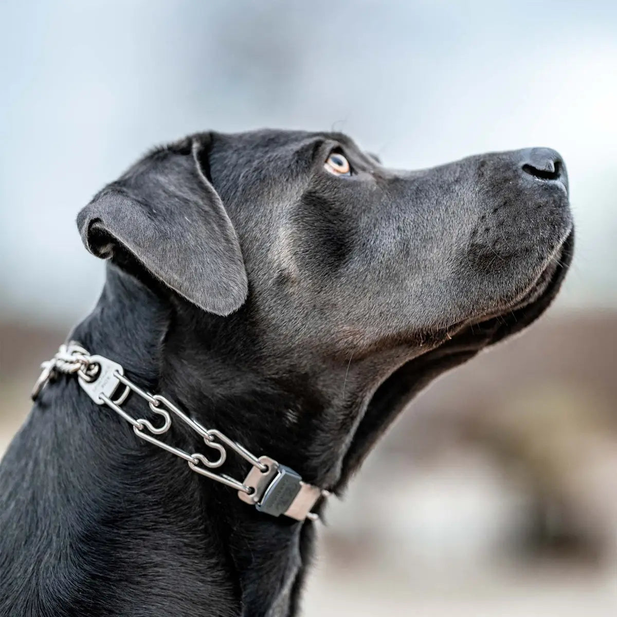 Herm Sprenger Cliclock Quick Release Buckle